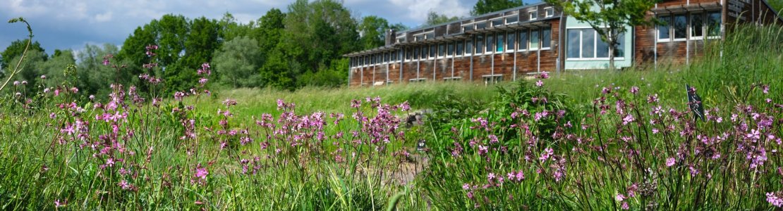 Les jardins du Conservatoire botanique