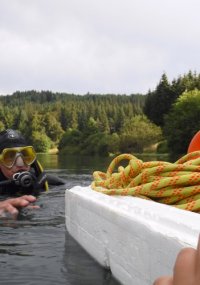Plongez à la recherche de l’Isoète des Lacs Plongez à la recherche de l’Isoète des Lacs