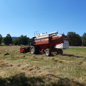 Solutions fondées sur le végétal