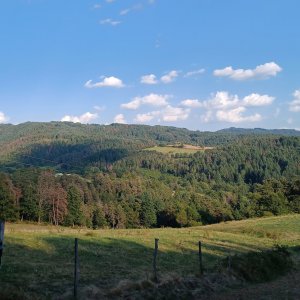 Réchauffement climatique