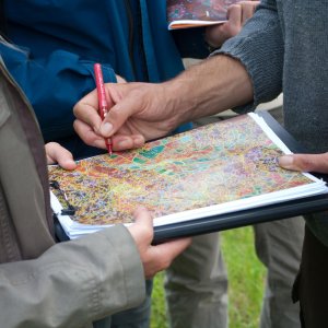 Inventaires et cartographie