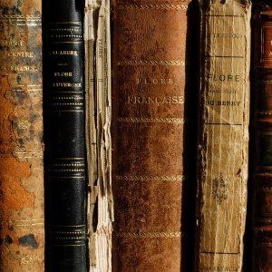 Gestion et valorisation des données