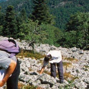 Métiers / Emplois / Stages