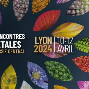 4èmes Rencontres végétales – 2024