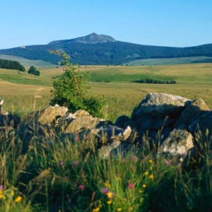 Régions naturelles
