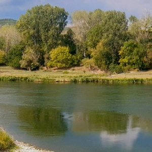 Plan national d'actions Forêts alluviales du Rhône & Epipactis du Castor