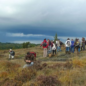 Programme des sorties botaniques de l'Amicale Charles le Gendre des botanistes du Limousin