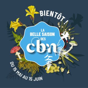 La Belle Saison des CBN #2024