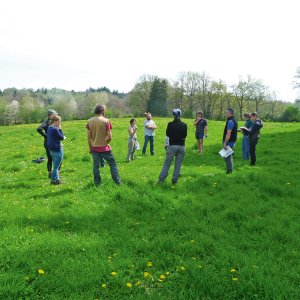 Un guide technique en faveur des prairies du Limousin