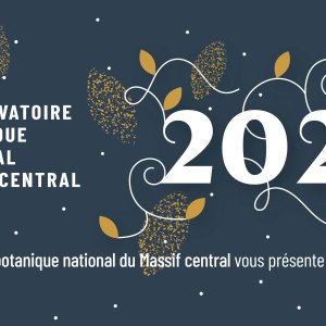 Meilleurs voeux !!!