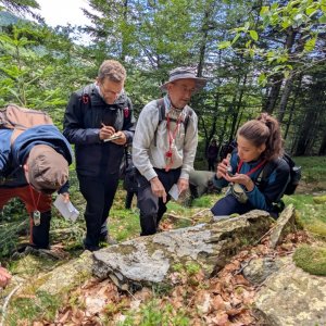Des rencontres bryologiques franco-espagnoles dans le sud-ouest du Massif central
