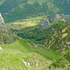 Un catalogue des végétations des Réserves naturelles du massif du Sancy