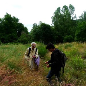 Projet de développement de la connaissance sur des espèces délicates à identifier dans le Massif central