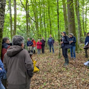 Des sylviculteurs soucieux de la biodiversité forestière en Limousin