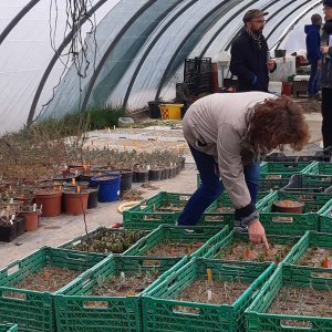 VEGETAL LOCAL : ça bouge dans le Massif central !